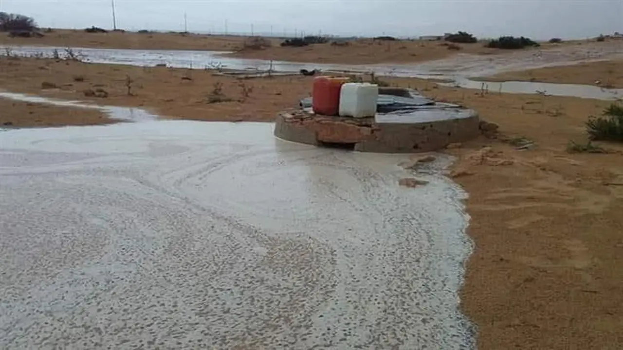 سحب وأمطار تضرب شمال البلاد.. ورياح محملة بالأتربة على هذه المناطق